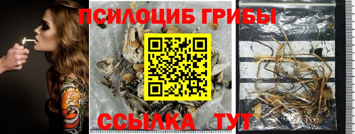 Обнинск  хочу наркоту  Вход с VPN  Псилоцибиновые грибы GOLDEN TEACHER 